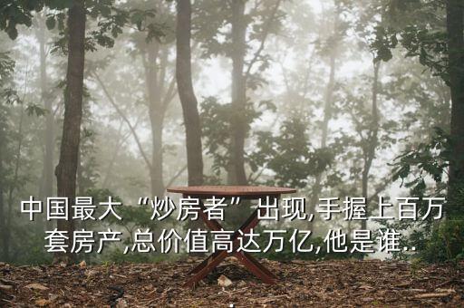 中國(guó)最大“炒房者”出現(xiàn),手握上百萬套房產(chǎn),總價(jià)值高達(dá)萬億,他是誰...
