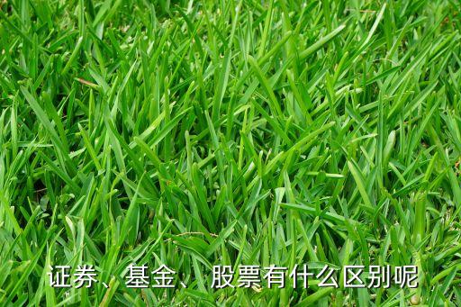  證券、基金、 股票有什么區(qū)別呢