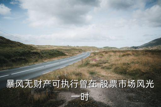 暴風(fēng)無財產(chǎn)可執(zhí)行曾在 股票市場風(fēng)光一時