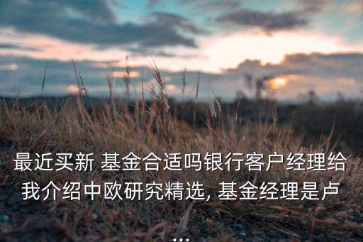 最近買(mǎi)新 基金合適嗎銀行客戶經(jīng)理給我介紹中歐研究精選, 基金經(jīng)理是盧...