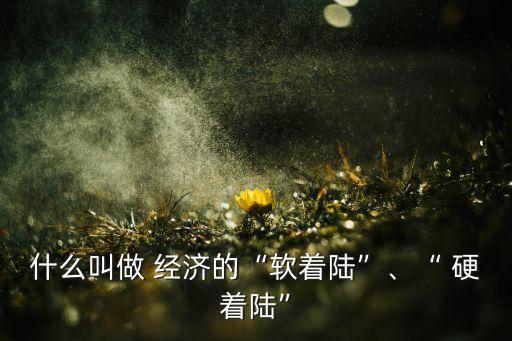 什么叫做 經(jīng)濟的“軟著陸”、“ 硬著陸”