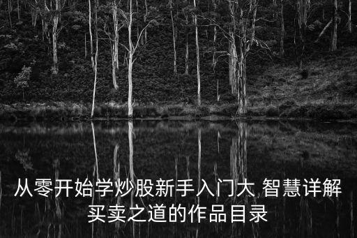 從零開(kāi)始學(xué)炒股新手入門(mén)大 智慧詳解買(mǎi)賣(mài)之道的作品目錄