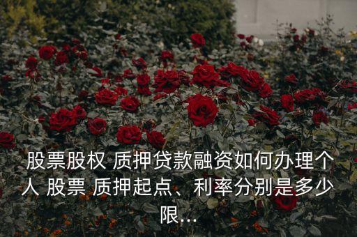  股票股權(quán) 質(zhì)押貸款融資如何辦理個(gè)人 股票 質(zhì)押起點(diǎn)、利率分別是多少限...