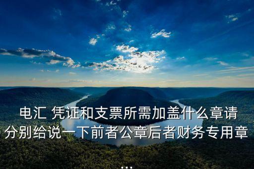  電匯 憑證和支票所需加蓋什么章請分別給說一下前者公章后者財務(wù)專用章...