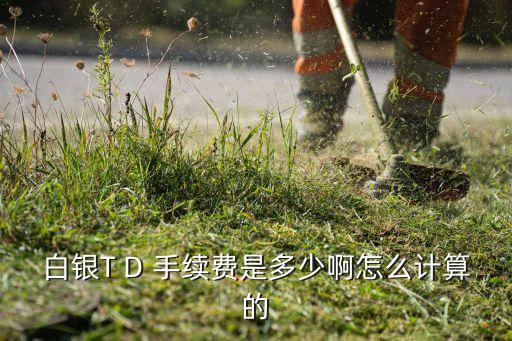 上海黃金交易所手續(xù)費(fèi)萬(wàn)分之幾,黃金交易所買板料手續(xù)費(fèi)