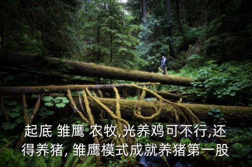 雛鷹農牧集團招商部,吉林雛鷹農牧集團最新消息