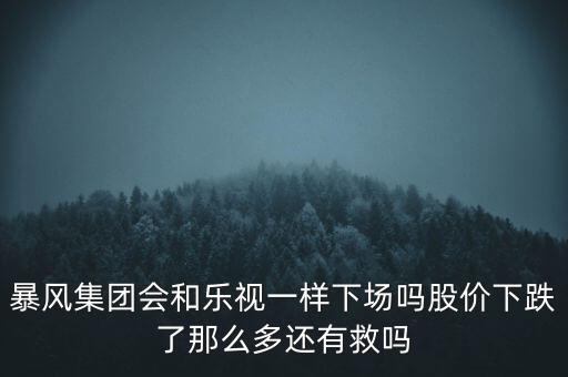 暴風(fēng)集團(tuán)會和樂視一樣下場嗎股價下跌了那么多還有救嗎
