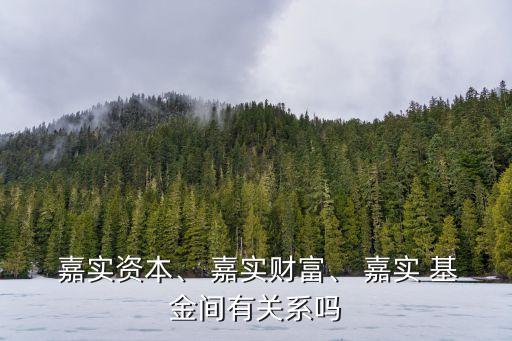  嘉實(shí)資本、 嘉實(shí)財(cái)富、 嘉實(shí) 基金間有關(guān)系嗎