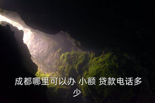  成都哪里可以辦 小額 貸款電話(huà)多少