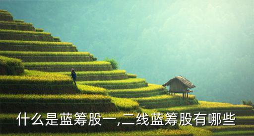 什么是藍(lán)籌股一,二線(xiàn)藍(lán)籌股有哪些