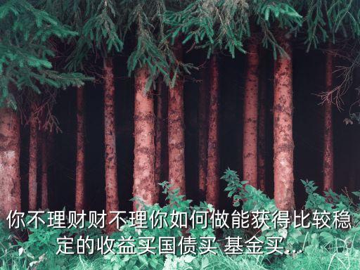 你不理財(cái)財(cái)不理你如何做能獲得比較穩(wěn)定的收益買國(guó)債買 基金買...