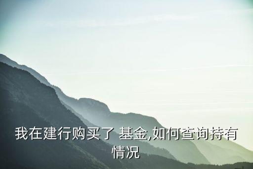 網(wǎng)絡游戲基金持倉