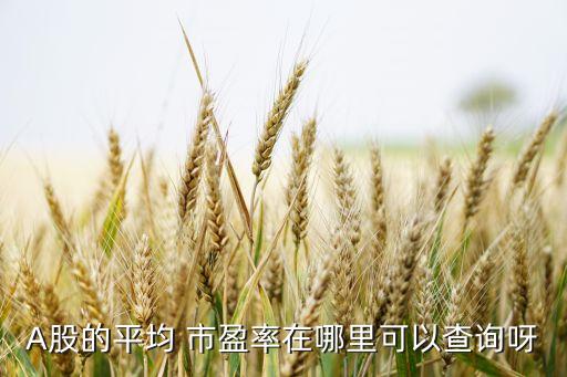 A股的平均 市盈率在哪里可以查詢(xún)呀