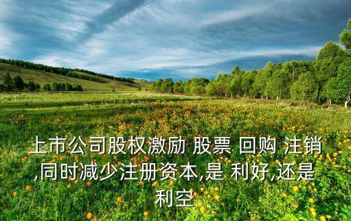 上市公司股權(quán)激勵(lì) 股票 回購(gòu) 注銷,同時(shí)減少注冊(cè)資本,是 利好,還是利空