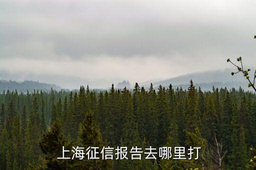  上海征信報告去哪里打