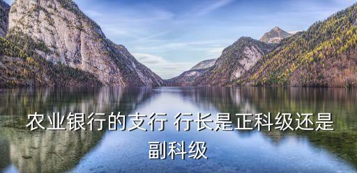  農(nóng)業(yè)銀行的支行 行長是正科級(jí)還是副科級(jí)