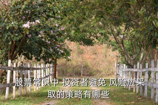  股票常識中 投資者避免 風(fēng)險應(yīng)采取的策略有哪些