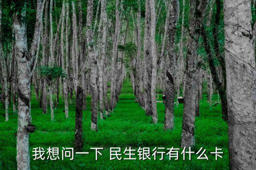 我想問(wèn)一下 民生銀行有什么卡