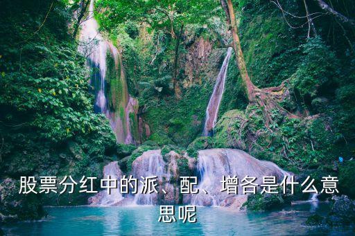  股票分紅中的派、配、增各是什么意思呢