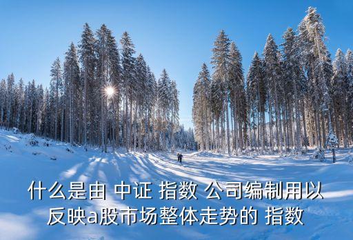 什么是由 中證 指數 公司編制用以反映a股市場整體走勢的 指數