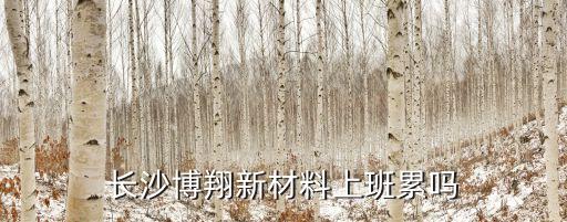 長(zhǎng)沙博翔新材料上班累嗎