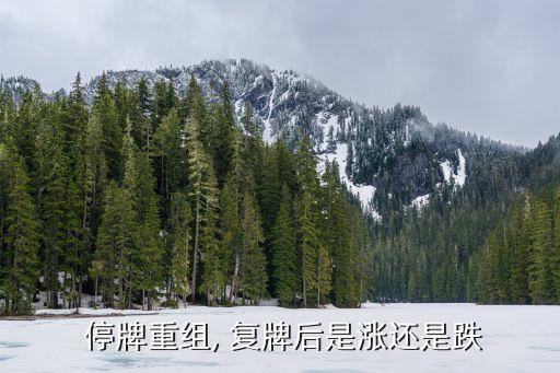 停牌后復牌的股票