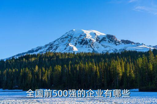 全國(guó)前500強(qiáng)的企業(yè)有哪些