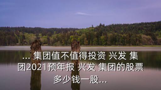 ... 集團(tuán)值不值得投資 興發(fā) 集團(tuán)2021預(yù)年報 興發(fā) 集團(tuán)的股票多少錢一股...