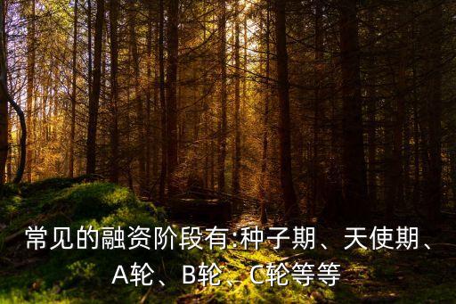 常見的融資階段有:種子期、天使期、A輪、B輪、C輪等等