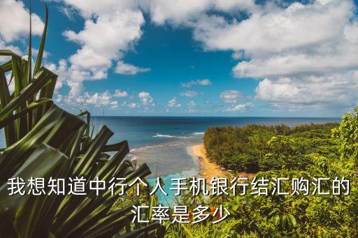 我想知道中行個(gè)人手機(jī)銀行結(jié)匯購(gòu)匯的 匯率是多少