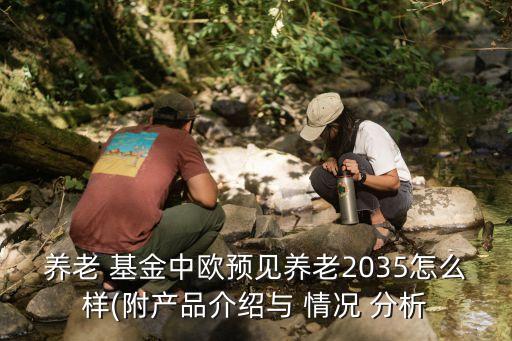 養(yǎng)老 基金中歐預(yù)見養(yǎng)老2035怎么樣(附產(chǎn)品介紹與 情況 分析
