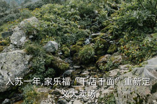 入蘇一年,家樂?！扒У昵妗敝匦露x大賣場(chǎng)
