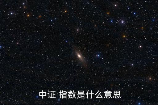  中證 指數是什么意思