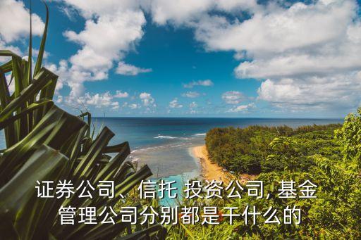 證券公司、信托 投資公司, 基金 管理公司分別都是干什么的