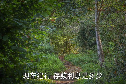 建設(shè)銀行的存款利率,建行貸款年化利率2023