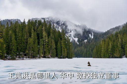 王典洪是哪里人 華中 數(shù)控獨(dú)立董事