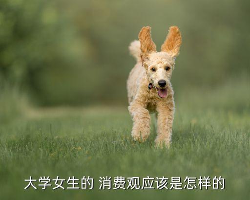 中國女性白領(lǐng)消費(fèi)