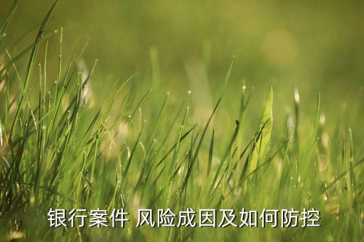  銀行案件 風(fēng)險(xiǎn)成因及如何防控