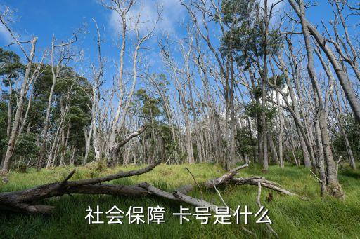 深圳商業(yè)銀行金融社?？ㄌ?深圳農(nóng)村商業(yè)銀行辦社?？ㄒ嗑媚玫?/></a></span><span id=