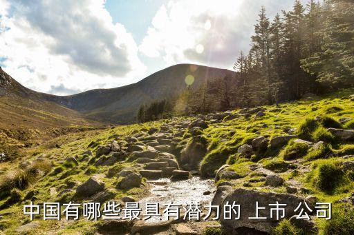 中國優(yōu)質上市公司,優(yōu)質上市公司的財務指標