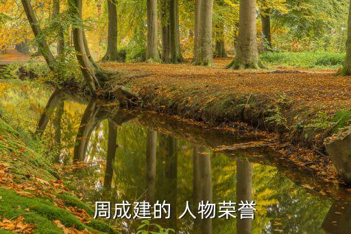 周成建的 人物榮譽