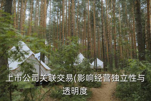 上市公司關聯(lián)交易(影響經(jīng)營獨立性與透明度