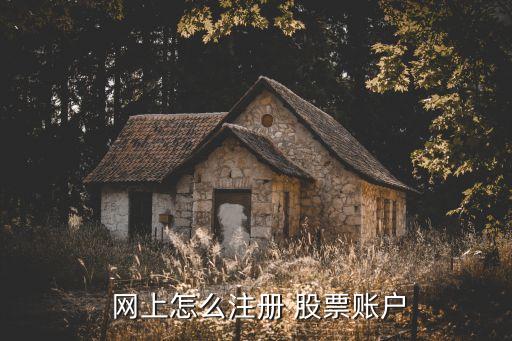 如何在網(wǎng)上開設(shè)股票帳號,如何查自己的股票帳號