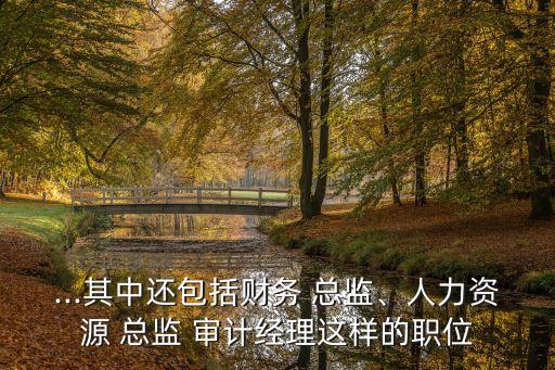 ...其中還包括財務(wù) 總監(jiān)、人力資源 總監(jiān) 審計經(jīng)理這樣的職位