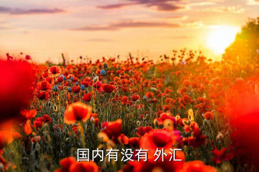 中國(guó)為什么不開(kāi)放外匯市場(chǎng),中國(guó)外匯市場(chǎng)開(kāi)放了沒(méi)有?