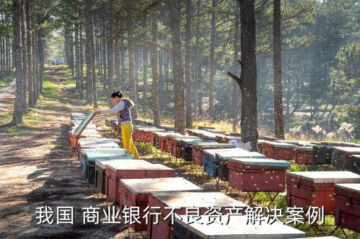 商業(yè)銀行金融風險事例,我國商業(yè)銀行房地產金融風險及其防范
