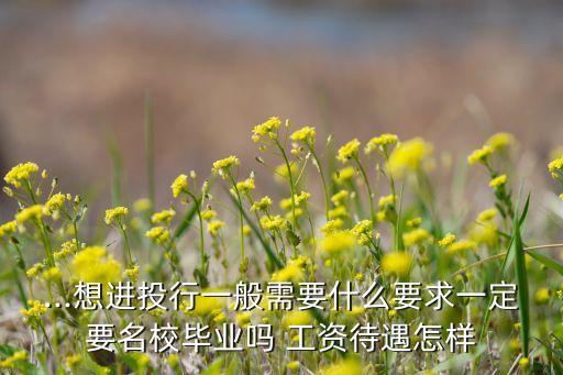 ...想進(jìn)投行一般需要什么要求一定要名校畢業(yè)嗎 工資待遇怎樣