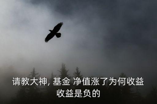 請教大神, 基金 凈值漲了為何收益收益是負的