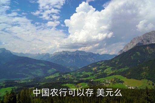 中國農(nóng)行可以存 美元么