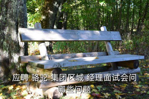 應(yīng)聘 駱駝 集團(tuán)區(qū)城 經(jīng)理面試會(huì)問(wèn)哪些問(wèn)題